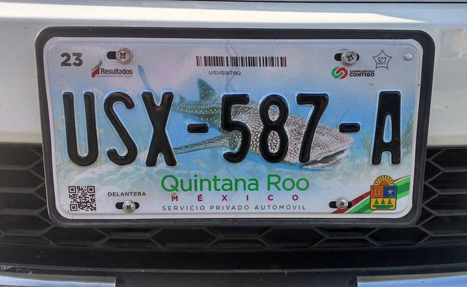 Sólo 30 de los autos de Q. Roo tienen nuevas placas