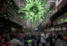 Mercados de animales: ¿el verdadero origen del COVID-19?