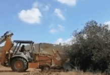 Acusan a Christian Nodal de ser parte de ecocidio en Baja California