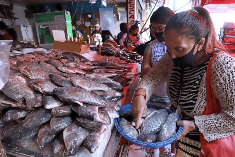 Semana Santa: Compara precios de pescados y mariscos; diferencias de 130%  en un producto / Por Alejandro Durán - Reporte 32 MX, El medio digital de  México