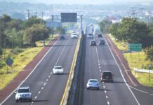 Inversión carretera vs inversión de viuda / Por Mauricio Flores