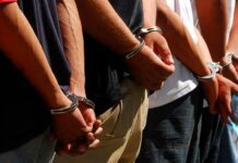 En Veracruz, detenidos 11 presuntos integrantes de células delictivas durante operativos coordinados