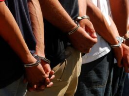 En Veracruz, detenidos 11 presuntos integrantes de células delictivas durante operativos coordinados