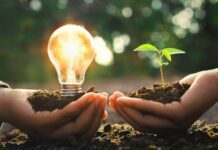 Ecoansiedad: la trampa psicológica del perfeccionismo verde