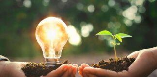 Ecoansiedad: la trampa psicológica del perfeccionismo verde