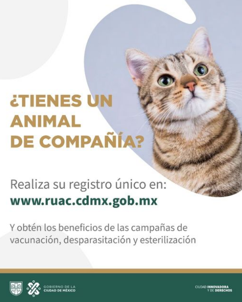 Cartel informativo del Gobierno de la Ciudad de México que invita a las personas a registrar sus mascotas en el Registro Único de Animales de Compañía (RUAC), el cartel incluye la foto de un gato.