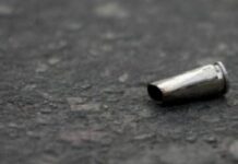 Tiroteo en un desfile del 4 de Julio en un suburbio de Chicago: al menos 6 muertos y 24 heridos