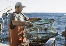 Descarta Sader que planta de fertilizantes afecte actividad pesquera en Topolobampo Sinaloa / Por Alicia Valverde