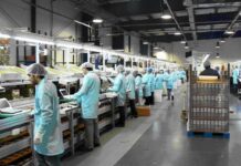 Nuevo León, el estado con la mayor generación de empleo en la industria manufacturera de México