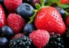 Destaca México en el mundo como exportador de frutos rojos; con más de 715 toneladas / Por Alicia Valverde