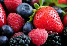 Destaca México en el mundo como exportador de frutos rojos; con más de 715 toneladas / Por Alicia Valverde