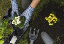 De la huerta a la longevidad: cuál es el impacto de la jardinería en la salud y el bienestar, según la ciencia