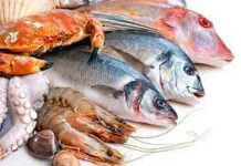 Aseguran cerca de mil toneladas de productos del mar, no demostraron su legalidad / Por Alicia Valverde