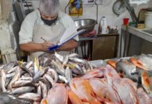 Impulsa Conapesca consumo de pescados y mariscos en Campeche / Por Alicia Valverde