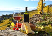 Celebra Querétaro el Sexto Festival del Vino en Corregidora