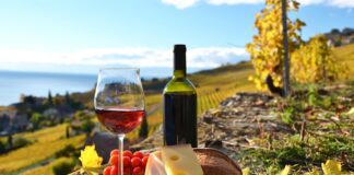 Celebra Querétaro el Sexto Festival del Vino en Corregidora
