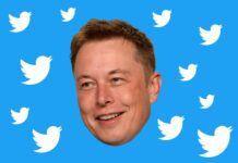 Elon Musk encontró nueva presidenta de Twitter