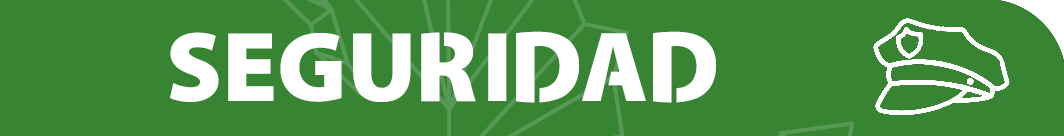 seguridad