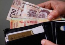 Blinda Senado salario mínimo de los trabajadores ¿En qué consiste?