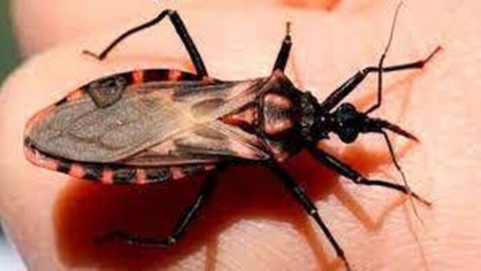 cHAGAS