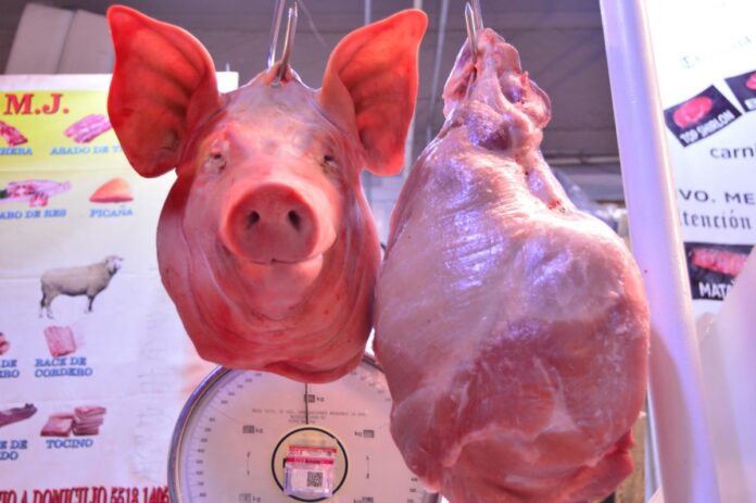 00 CABEZAS PUERCO CARNE REPORTE32MX