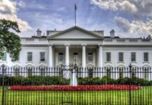 Washington coloca a México como líder de distribución y producción de drogas