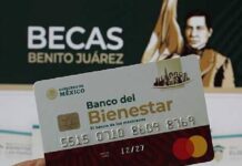 ¿Perdiste la tarjeta de tu Beca Benito Juárez? Aprende qué debes hacer