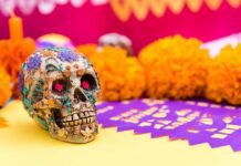Celebrará Ciudad Juárez el Día de Muertos con el evento “Raíces y Recuerdos: Cempasúchil, un viaje al pasado”