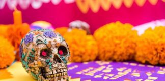 Celebrará Ciudad Juárez el Día de Muertos con el evento “Raíces y Recuerdos: Cempasúchil, un viaje al pasado”