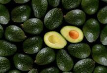 Suspende EU importaciones del aguacate mexicano por amenazas a su personal / Por Alicia Valverde