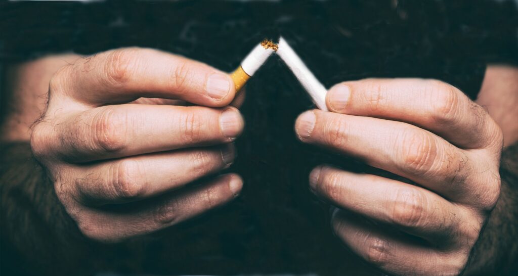 El tabaco cubano podría liderar el mercado norteamericano si desaparece el  bloqueo - 24.02.2015, Sputnik Mundo