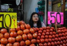 Alza del precio del jitomate se mantendrá hasta mayo: Sistema Producto Tomate / Por Alicia Valverde