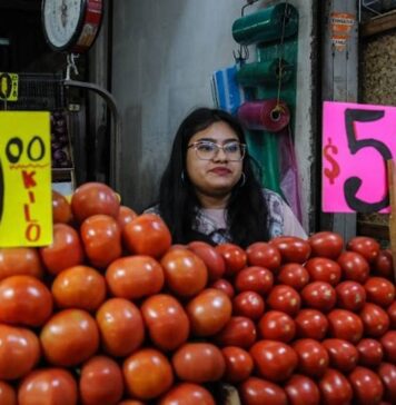 Con Acuerdo estabilizarán precio del jitomate, participa gobierno, academia, productores e investigadores / Por Alicia Valverde