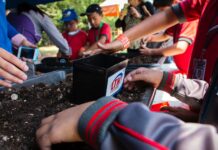 El Día Internacional de la Educación Ambiental y las Eco Jornadas LTH