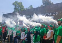 Entregan organizaciones a favor del vapeo cerca de 300 estudios científicos a diputados federales