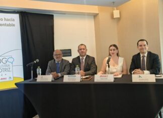 Presentó industria automotriz su proyecto de trabajo para el próximo sexenio / Por Diana Domínguez