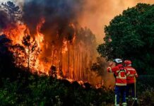 Realizarán Reunión Nacional de Protección Civil por la Temporada de Incendios Forestales 2026