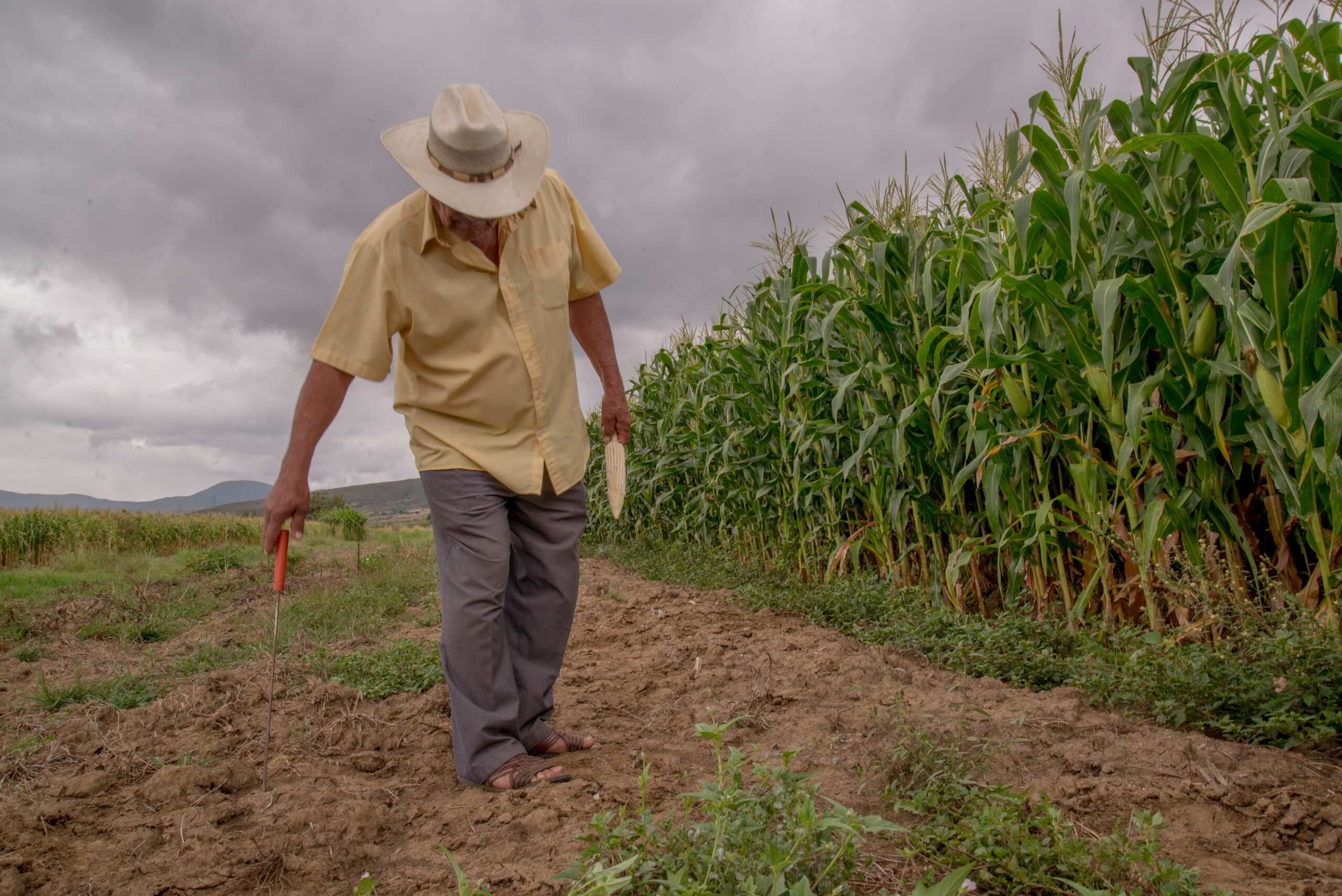 Llama CNA al gobierno federal a continuar con las mesas de diálogo con el sector agrícola/ Por Alicia Valverde