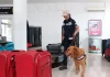 Refuerzan inspección sanitaria para ingresar a México, en periodo vacacional / Por Alicia Valverde