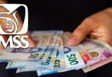 Pensión IMSS: por qué algunas personas reciben sólo 3 mil pesos al mes y otras 8,400