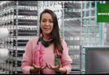 VIDEOCOLUMA: Retos de la producción sustentable en el sector textil / Por Naydú Serrato, de Textiles Lafayette