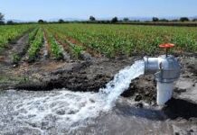 Llaman a productores a regularizar concesiones de agua / Por Alicia Valverde