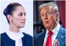 Buscará Sheinbaum a Trump para convencerlo de que el TMEC si funciona / Por Diana Domínguez