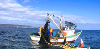 Reduce Conapesca en 77% los trámites a productores para mantener su actividad pesquera y acuícola / Por Alicia Valverde