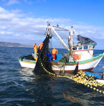 Reduce Conapesca en 77% los trámites a productores para mantener su actividad pesquera y acuícola / Por Alicia Valverde