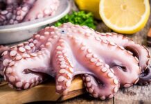 Compara precios: Kilo de pulpo con diferencias de 138% / Por Alejandro Durán