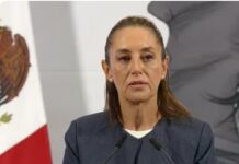 Incorporarán al PACIC productos agrícolas como el jitomate para bajar su precio: Sheinbaum / Por Diana Domínguez