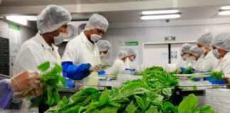 Proponen duplicar a 10 mil mdp el presupuesto para el Senasica para 2027