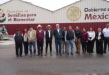 Entregan 530 toneladas de semilla mejorada de frijol en Zacatecas y Durango / Por Alicia Valverde