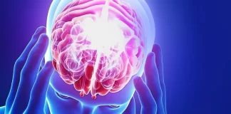 El cerebro humano viene ‘preconfigurado’ con instrucciones para comprender